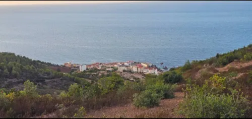 Vente Terrain Tipaza Cherchell