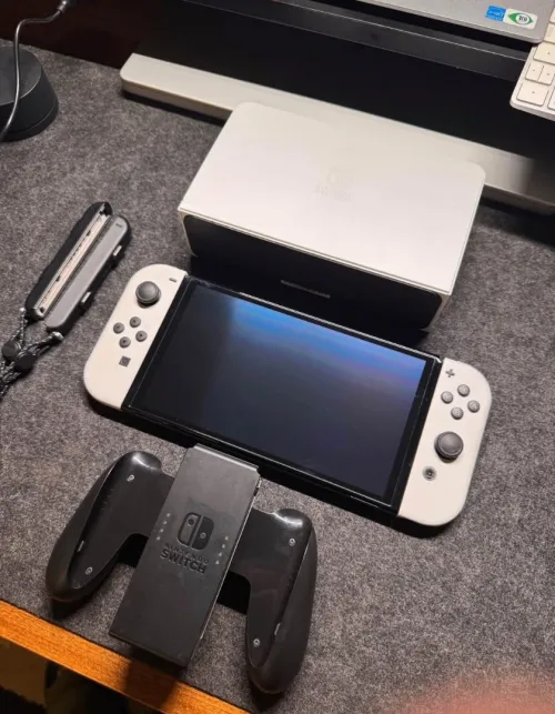 Nintendo Switch Oled Flashi