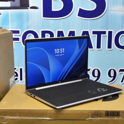 HP ProBook 445 G8 Ryzen 5 5600U 08Go Ram DDR4 256Go SSD 14" FHD Radeon Vega 7