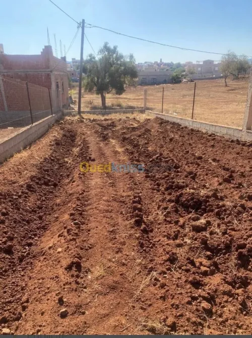 Vente Terrain Tlemcen Ghazaouet