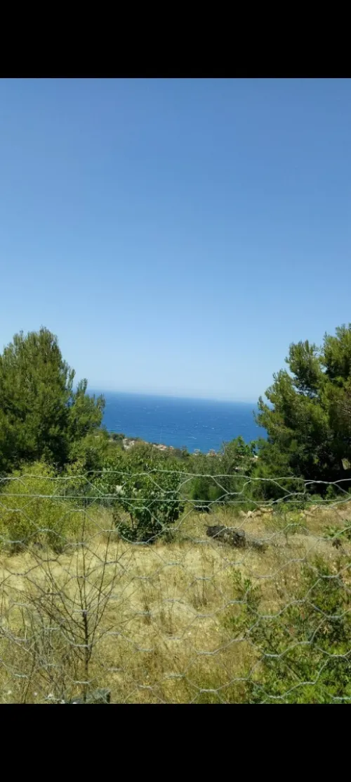Vente Terrain Tipaza Larhat