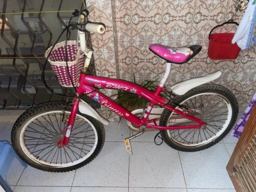 VELO 20 pouce