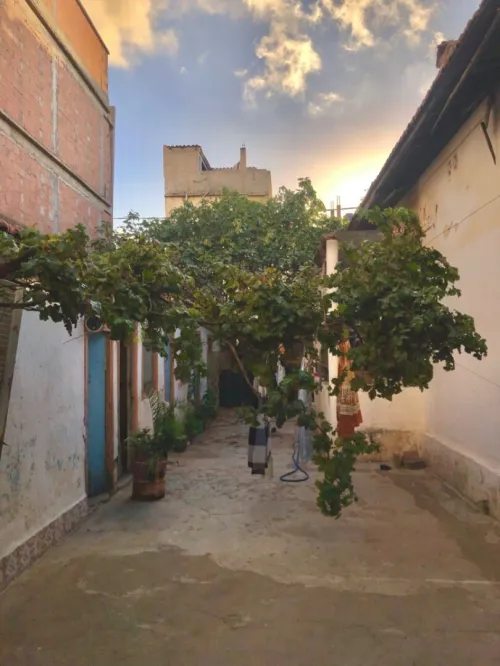 Vente Villa Blida Blida