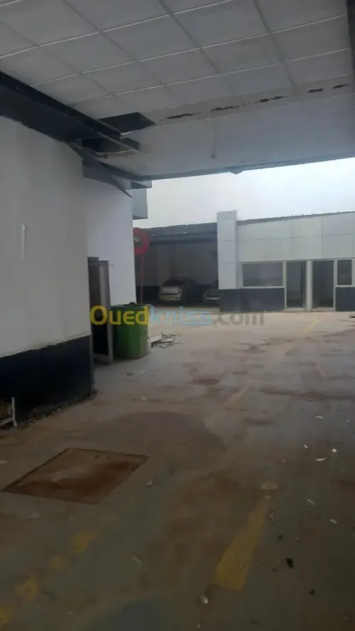 Location Hangar - Usine Oran Oran