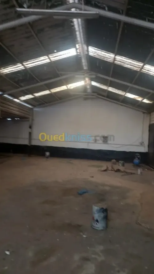 Location Hangar - Usine Oran Oran