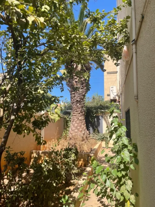 Location Villa Alger Dely brahim