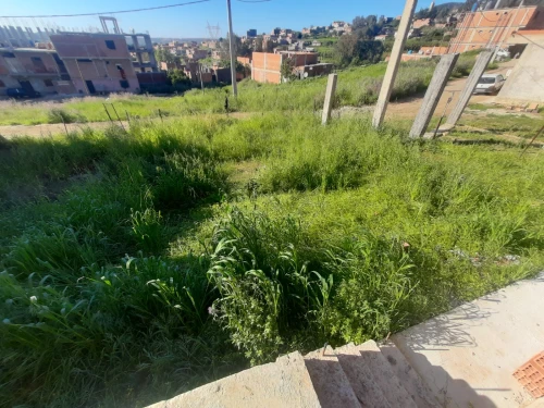 Vente Terrain Boumerdès El kharrouba
