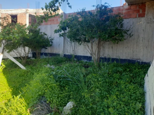 Vente Terrain Boumerdès El kharrouba