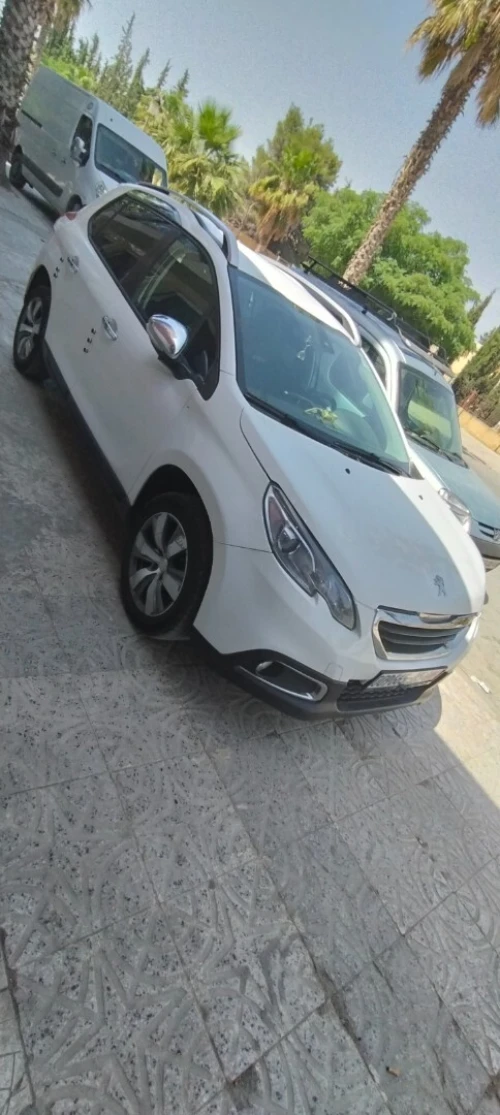 Peugeot 2008 2015 Erg
