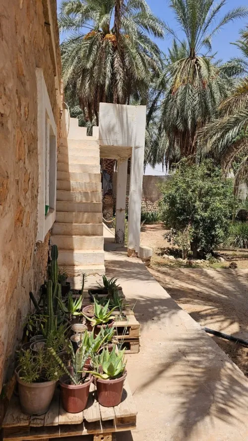 Vente Villa El Menia Hassi Gara