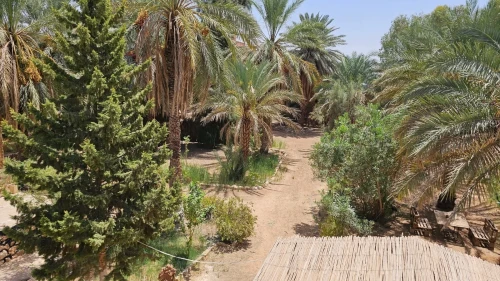 Vente Villa El Menia Hassi Gara