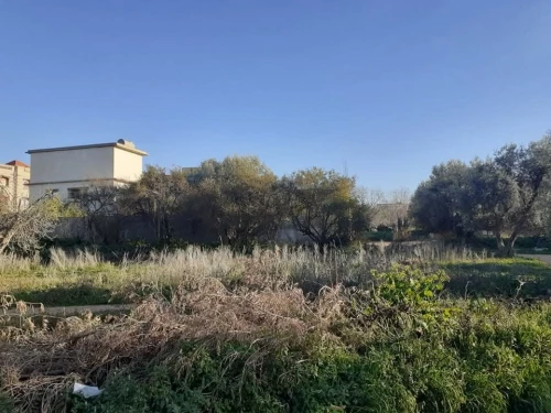 Vente Terrain Tlemcen Chetouane