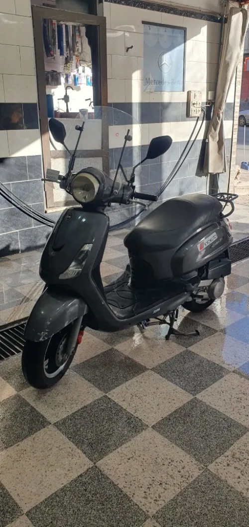 Sym Feddl 2 2014