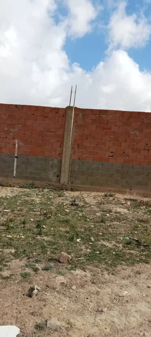 Vente Terrain Mostaganem Kheireddine