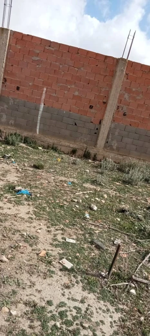 Vente Terrain Mostaganem Kheireddine