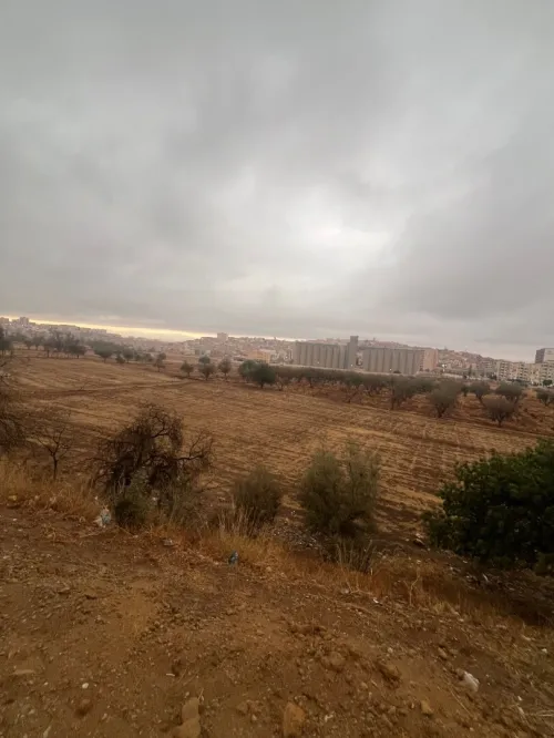 Vente Terrain Tlemcen Tlemcen