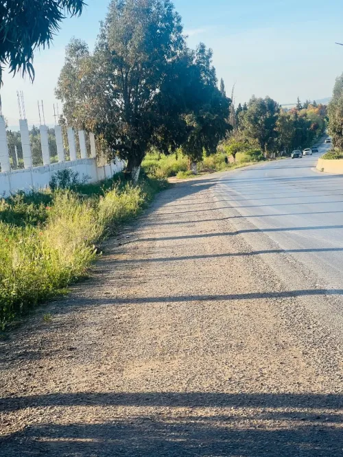 Vente Terrain Tlemcen Hennaya