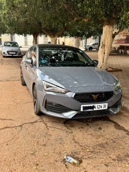 Cupra  Leon 2024 VZ Cup