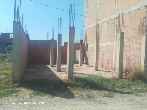 Vente Terrain Blida Meftah