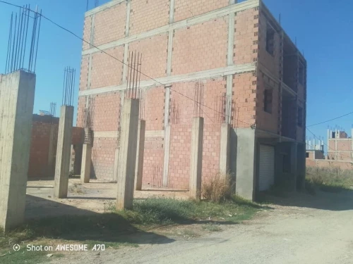 Vente Terrain Blida Meftah