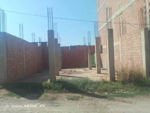 Vente Terrain Blida Meftah