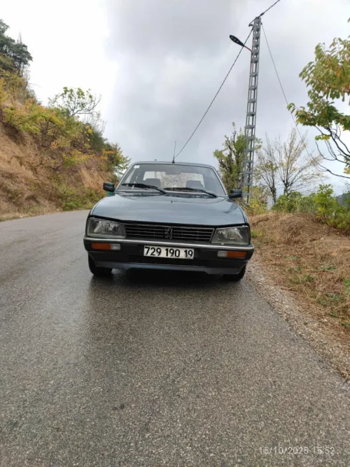 Peugeot 505 1990 505