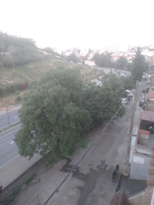 Vente Villa Alger Kouba
