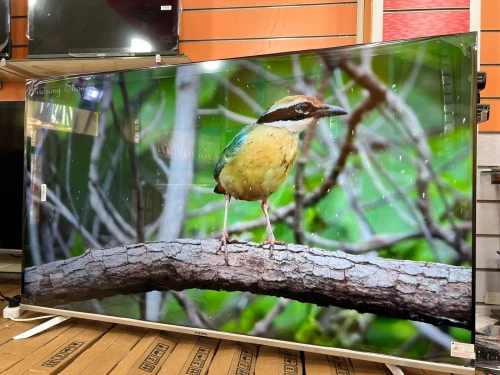 KIOWA 65 pouces 4K Smart Google tv 93000 da