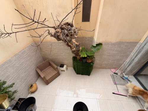 Vente Appartement Duplex F3 Oran Oran