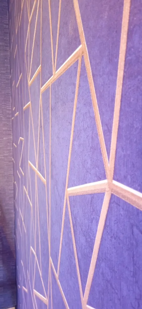 Pose parquet, moquette ,papier pient , gerflex
