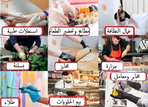  مشروع جهاز صنع القفازات الصحية والوقائية