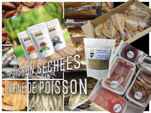 SECHEUR DE PRODUCTION DE FARINE DE POISSON