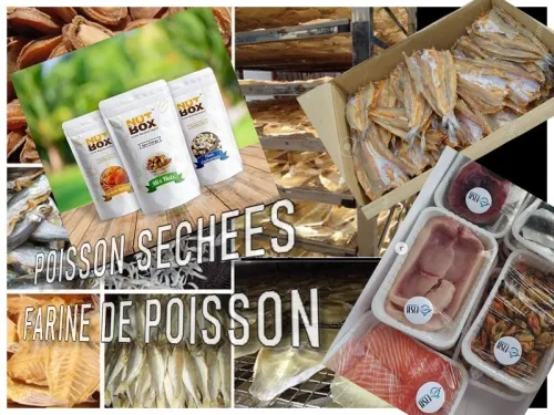 PROJET  DE SECHAGE DU POISSON ET VIANDE ET FABRICATION DE FARINE DE POISSON 