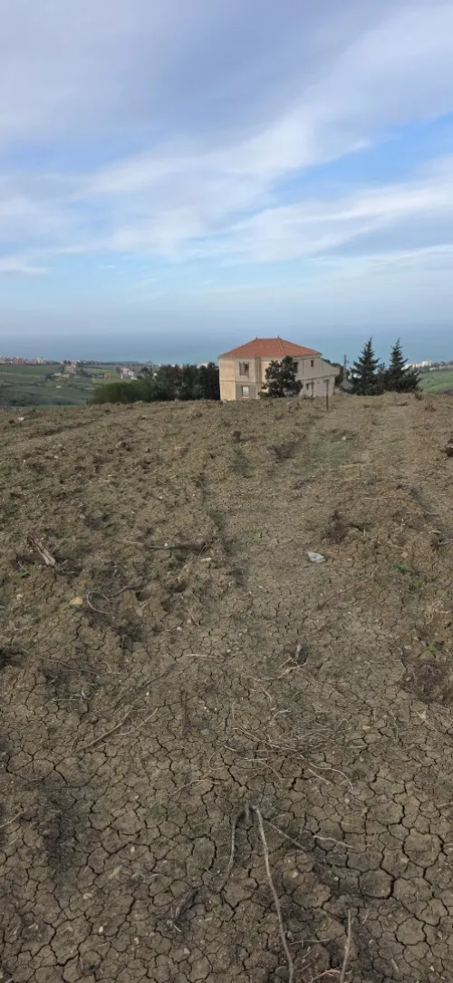 Vente Terrain Boumerdès Dellys