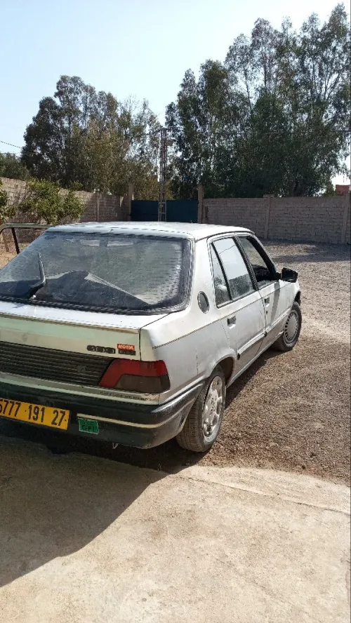 Peugeot 309 1991 309