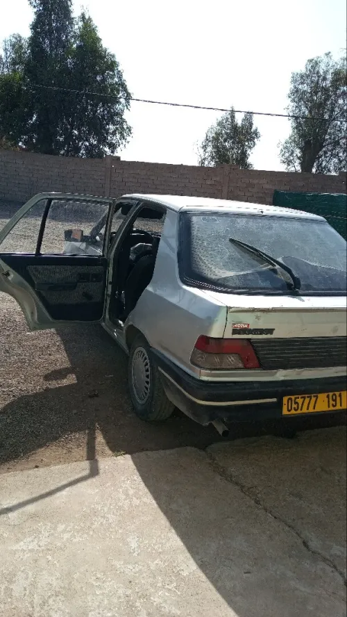 Peugeot 309 1991 309