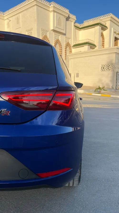 Seat Leon 2019 Bites