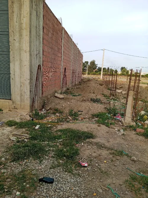 Vente Terrain Blida Bougara