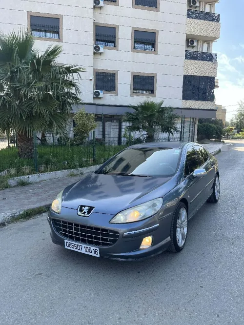Peugeot 407 2005 407