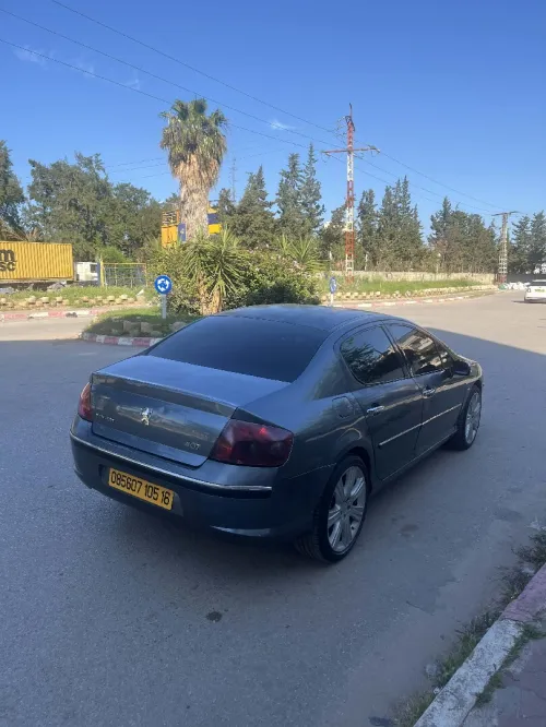Peugeot 407 2005 407