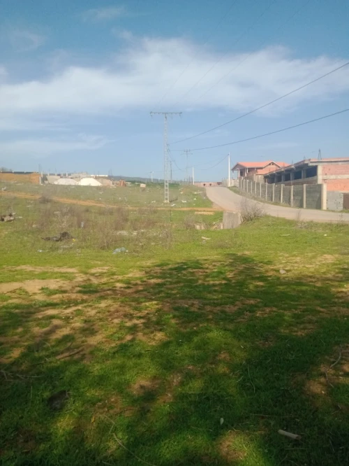 Vente Terrain Constantine Messaoud Boudjeriou