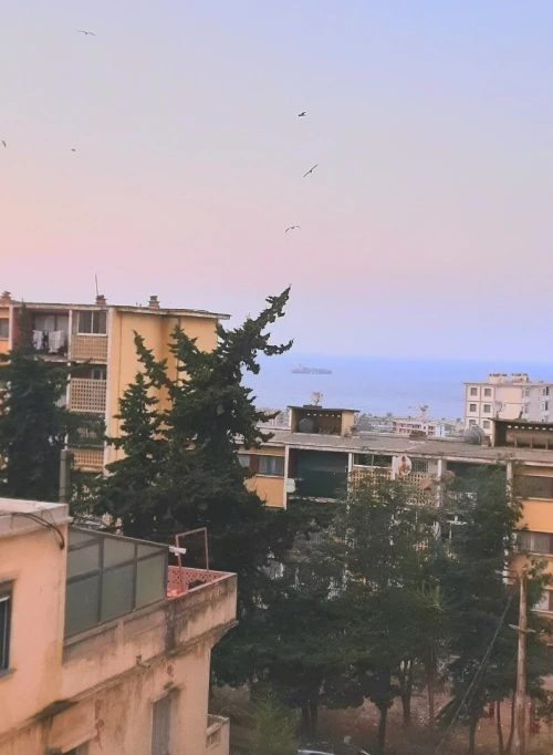 Location Appartement F3 Alger Hussein dey