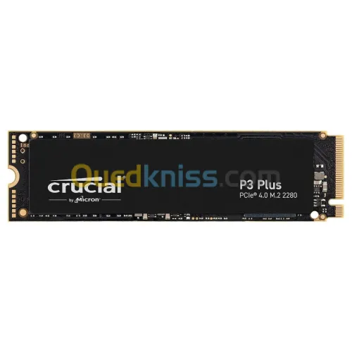 Crucial P3 Plus 500 Go