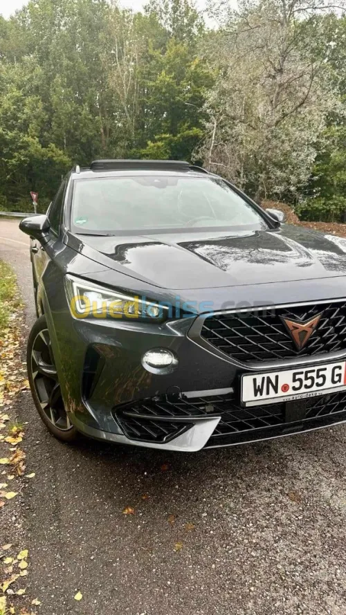 Seat Cupra  2022 formentor