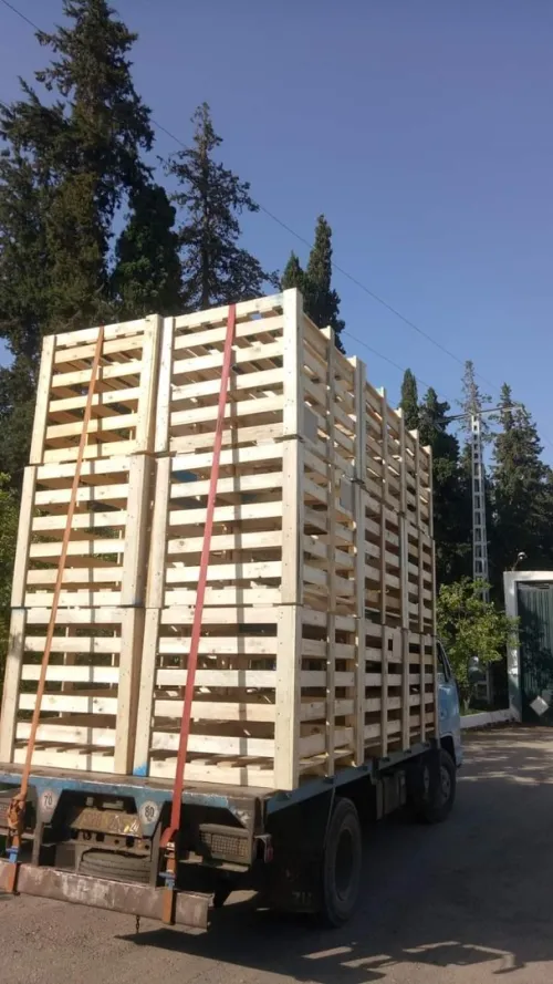 Nahlapalette fabrication du palettes en bois et fumigation 