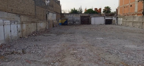 Vente Terrain Blida Chebli 4