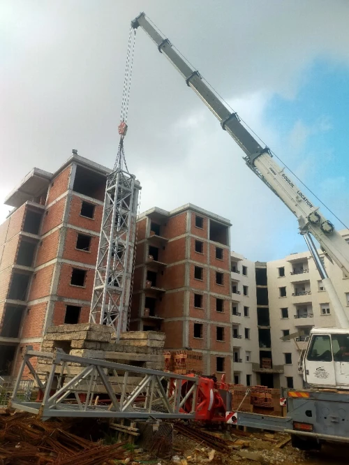 Service de maintenance câblages et armoires électriques Montage et démontage grue de chantier 2020