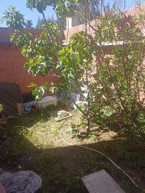 Vente Villa Blida Ouled selama