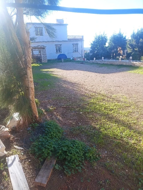 Vente Terrain Alger Rais hamidou