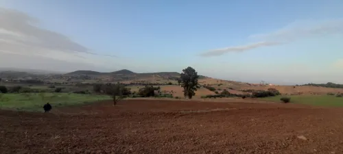 Vente Terrain Blida El affroun